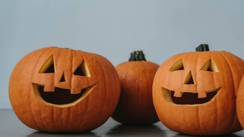 Row of carved pumpkins on table