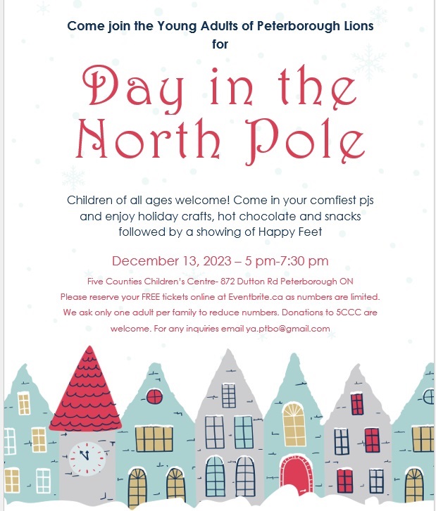 Day in the North Pole poster