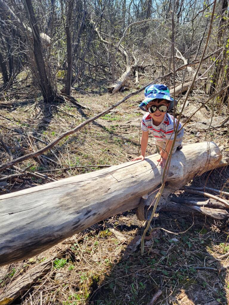 Photo of Oliver climbing a tree
